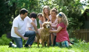 Family bonding together outdoors, symbolizing the supportive and healing environment fostered by IFS Therapy.