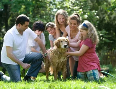 Family bonding together outdoors, symbolizing the supportive and healing environment fostered by IFS Therapy.